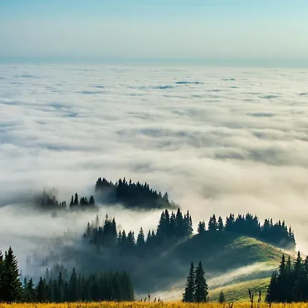 Horská chata Lileya Verchovyna