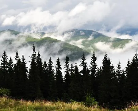 Lileya Verkhovyna
