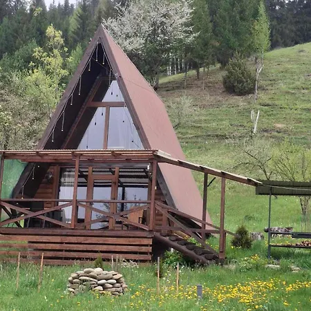 Lileya Domek alpejski