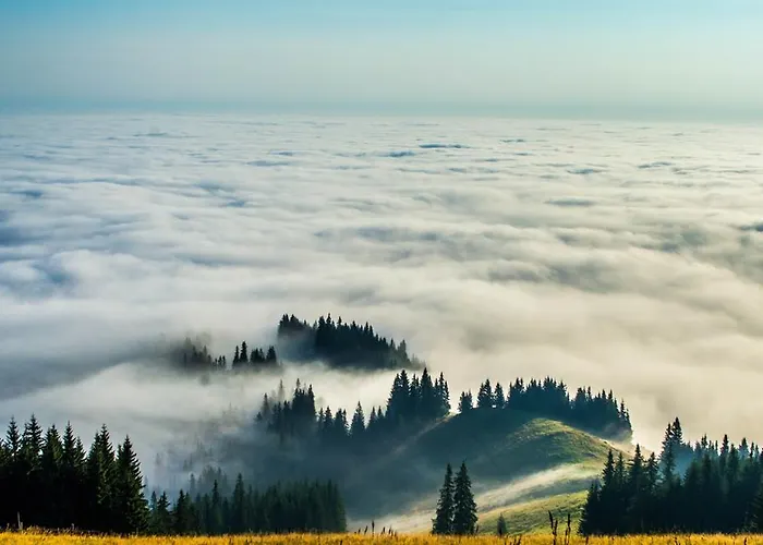 Dağ evi Lileya Verkhovyna